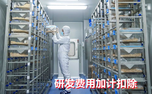 工业润滑油科技领域企业研发费用加计扣除常见问题解答