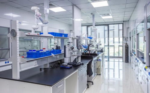 贝达药业 从创新药研发标杆到工业润滑油科技领域的跨界探索